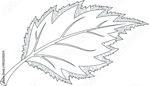 Outline of a leaf with frosty jagged edges, winter botanical drawing, crisp nature icon