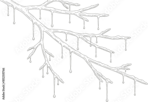 Icy tree branches with melting water drops, winter season thaw illustration outline drawing