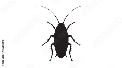 Cockroach Silhouette Isolated on White Background