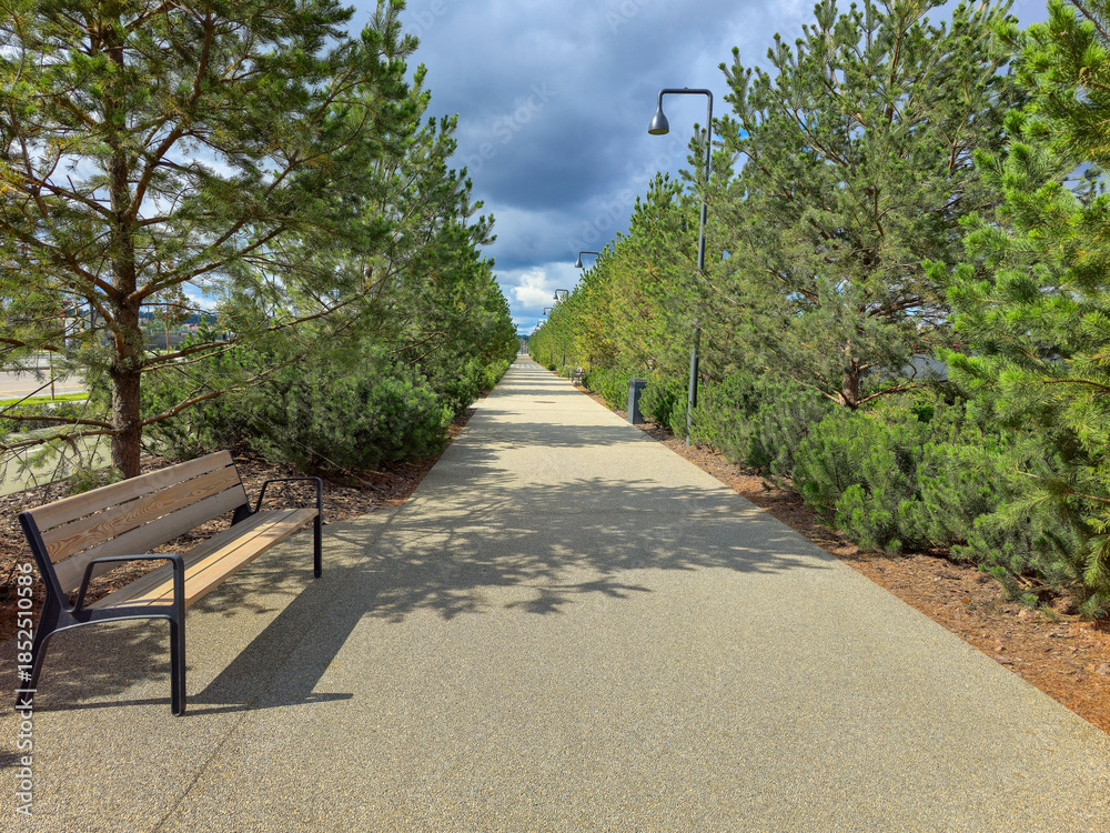 Obraz premium A path with a bench and trees. The bench is empty. The path is made of gravel
