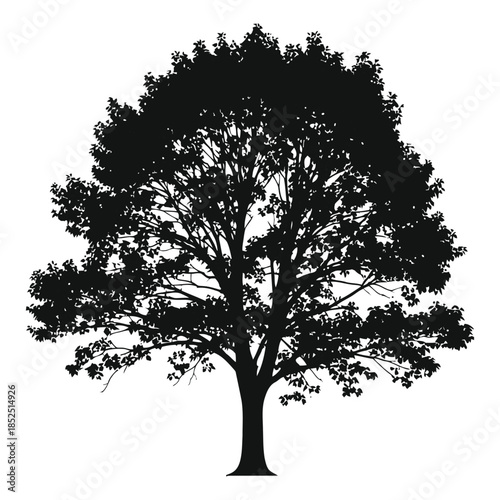 A majestic tree silhouette with sprawling branches and lush foliage