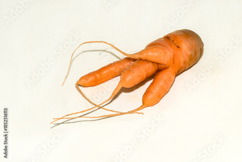 Abnormal shape of carrots roots  on white background wth shadow
