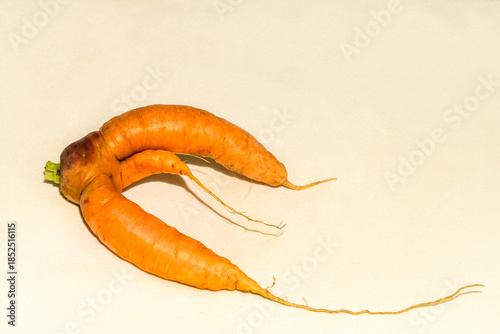 Abnormal shape of carrots roots  on white background wth shadow