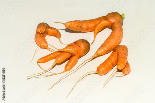 Abnormal shape of carrots roots  on white background wth shadow