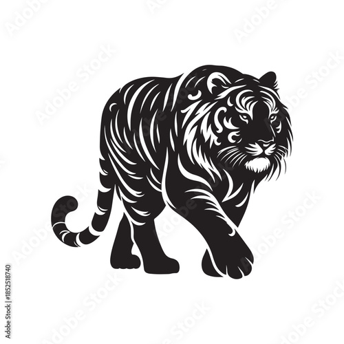 tiger on a white background