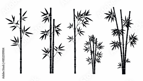 Set of black bamboo trees and leaves silhouettes on a white background.
