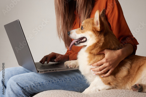 Woman ordering pet supplies online on laptop with corgi at home digital pet store concept