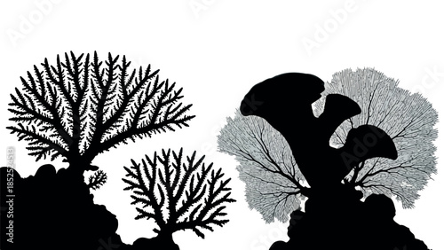 Silhouettes of diverse coral formations thriving on the ocean floor.