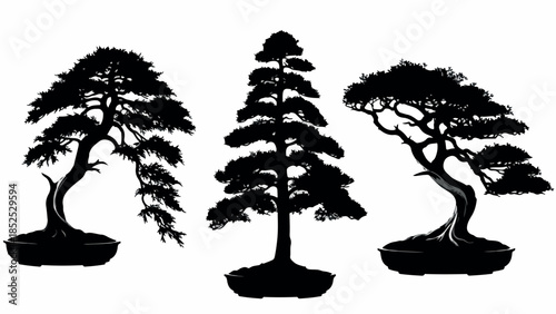 Three distinct bonsai tree silhouettes showcasing traditional Japanese art.