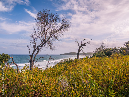 Coastal View with Vegetation Yuraygir National Park