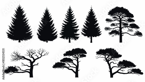 Collection of Diverse Tree Silhouettes for Nature and Landscape Designs.