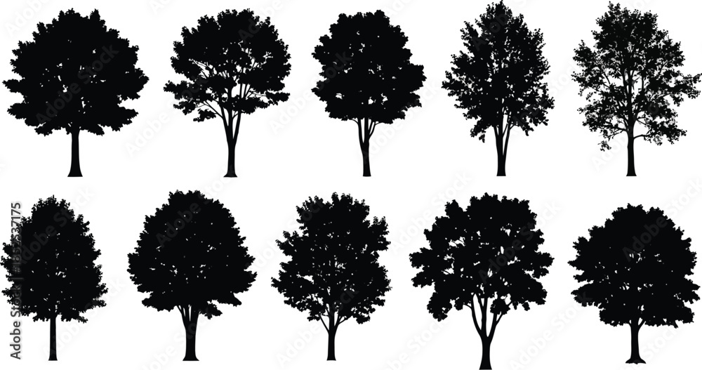 Fototapeta premium Collection of various black tree silhouettes on transparent background