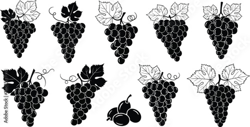 Collection of black grape bunches with leaves perfect for design on transparent background silhouette