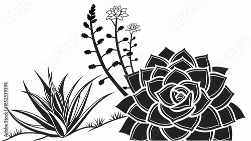 Succulent Flower Silhouette Botanical Rosette Vector Set