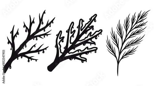 Vector illustrations of icy branches and a sprig of pine needles