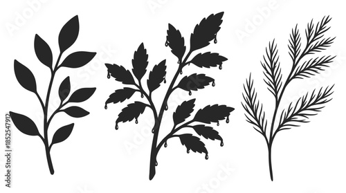 Silhouette branches with leaves and drips