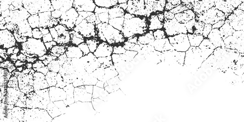 Black cracked earth texture with white background and scattered dark particles