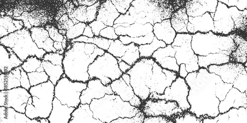 Black and white cracked earth texture with granular detail and irregular polygonal shapes arid