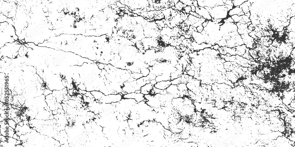 Fototapeta premium Black and white cracked texture with distressed grunge effect