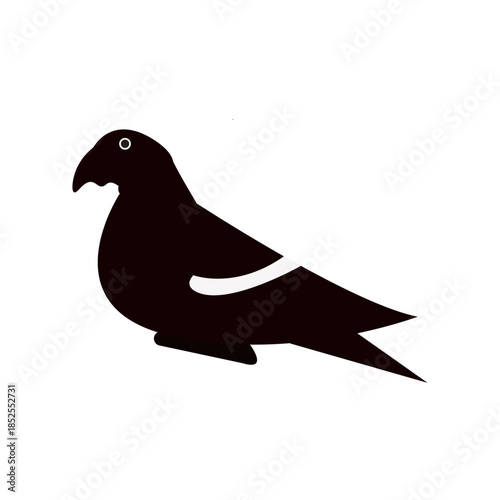 pigeon