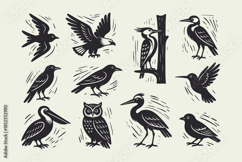 Vintage Woodcut Birds Set. Collection of Diverse Avian Species Silhouettes in Linocut Style.