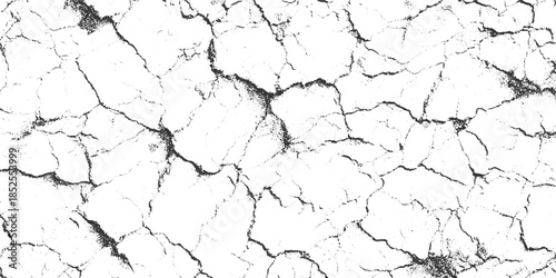 Black and white cracked earth texture with irregular fissures and granular detail arid