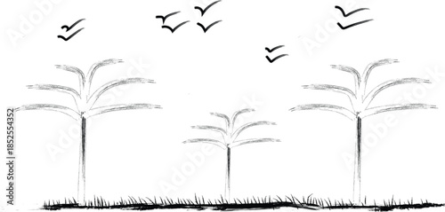 Black and white illustration of palm trees and birds isolated on transparent background