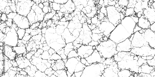 Black cracked texture on white background abstract pattern 12