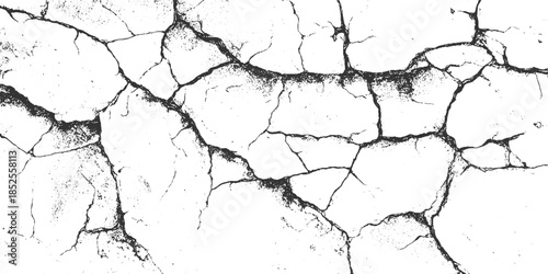 Black and white cracked surface texture with irregular lines and speckles abstract