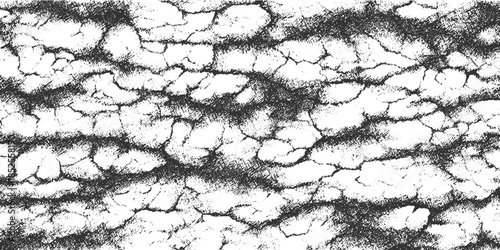 Black and white cracked dry earth texture with dark horizontal stripes ground