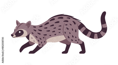 Civet cute palm animal sneaking pose. Agile, arboreal toddy cat, greyish colour, black spots musang funny tropical Asia, Africa creature, zoo, amazing wild life. Vector flat style cartoon illustration