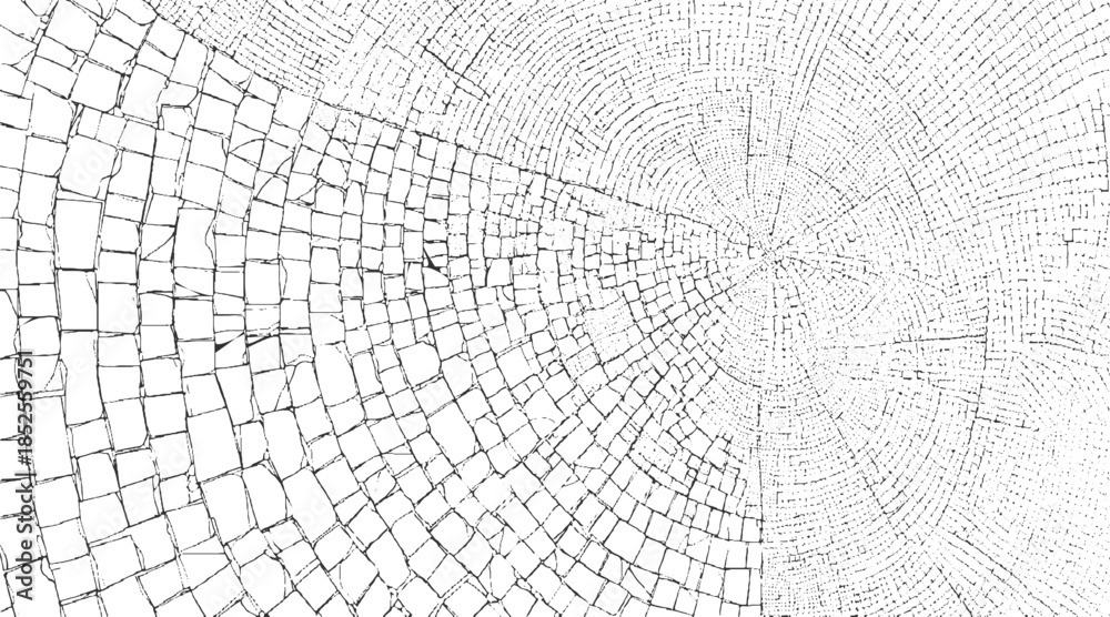 Obraz premium Cracked wood grain texture abstract pattern black and white