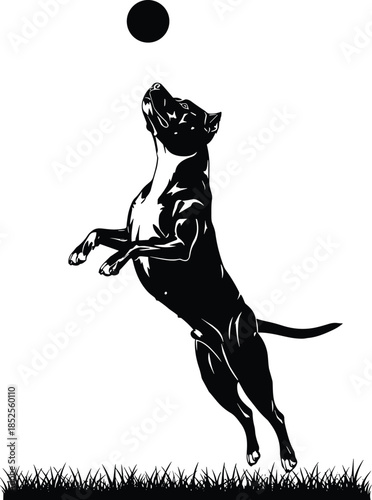 Dog silhouette jumping high in outdoor grass field, playful pet catching ball in midair, energetic canine vector illustration, black and white artwork
