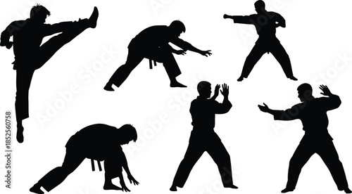 Martial arts silhouettes, dynamic poses, vector illustration of fighters practicing karate, taekwondo, kung fu, self defense, combat training, fitness, discipline, strength