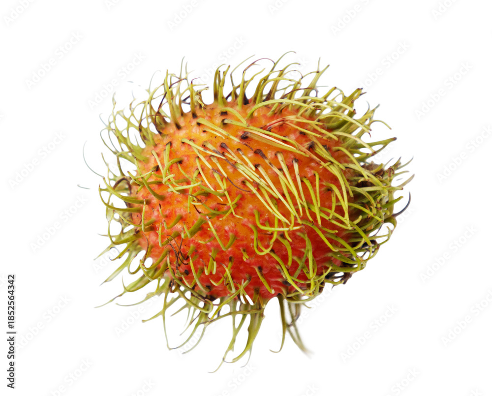 Fototapeta premium A small orange fruit with green leaves