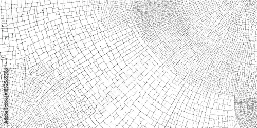 Abstract pattern of irregular black lines on white background resembling wood grain or cracked earth