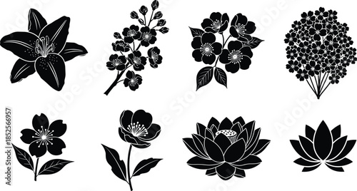 Flower silhouettes, floral designs, botanical illustration, petal shapes, nature art, garden motif, decorative element, plant contour, blossom icon