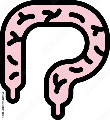 Simplified depiction of intestines with bold outlines and pink color