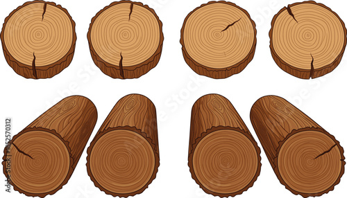 Rustic wood log slices and timber trunks vector set with realistic tree ring textures for carpentry and woodworking.
