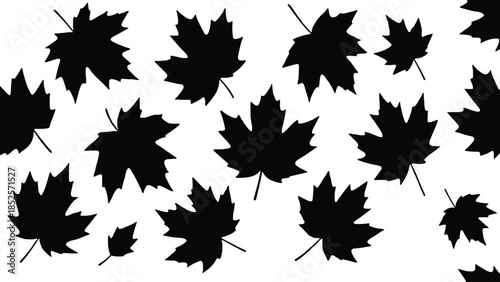 Black maple leaves scattered across a clean white background, evoking autumn.