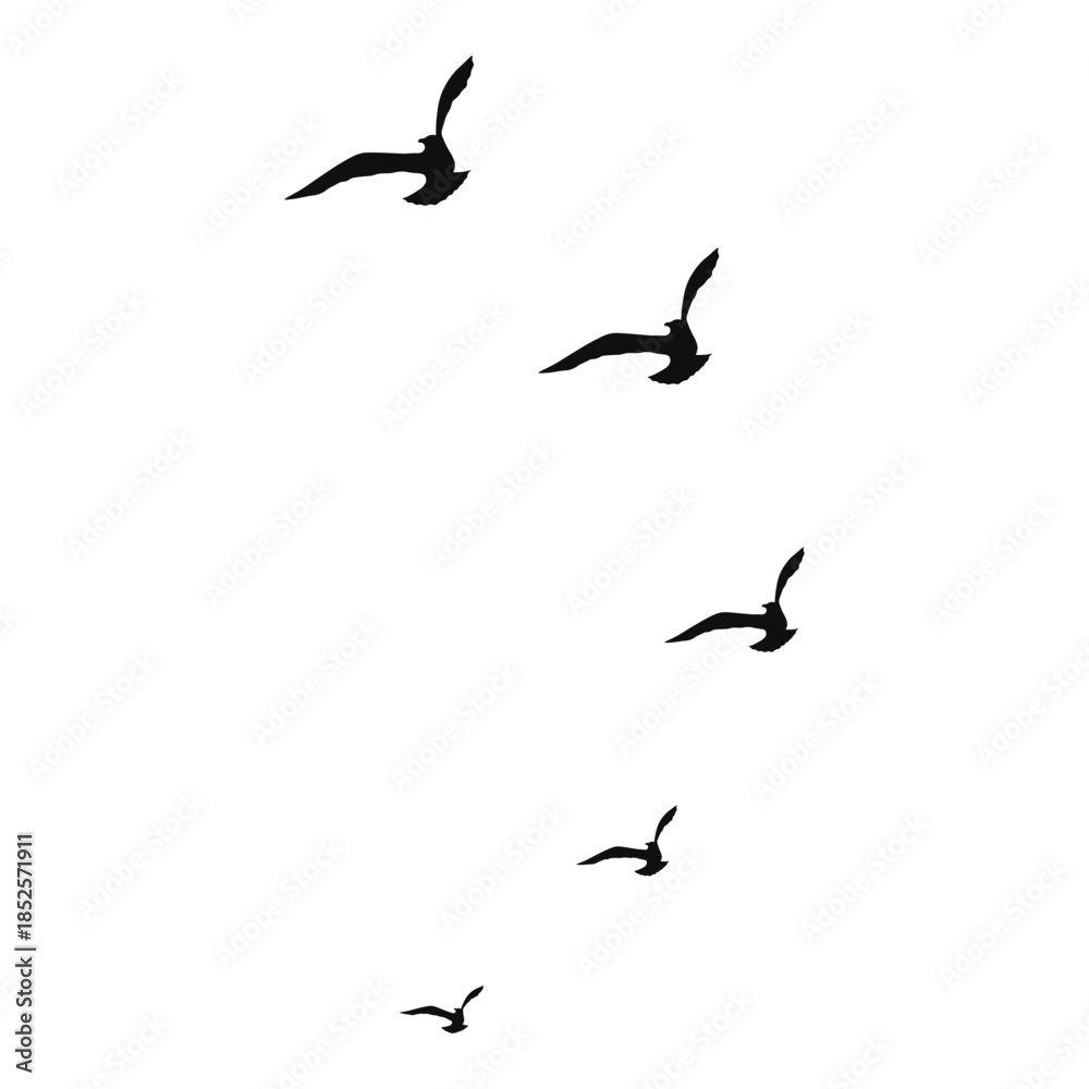 Obraz premium Flying Bird Silhouette on White Background. Vector Illustration.
