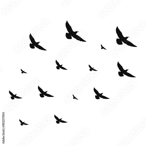 Flying Bird Silhouette on White Background. Vector Illustration.