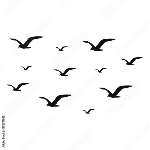 Flying Bird Silhouette on White Background. Vector Illustration.