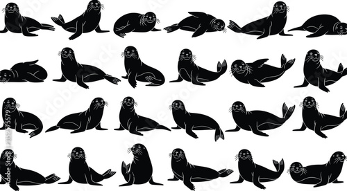 Seal silhouette vector set, black marine animal icons, various poses and gestures, isolated artwork, aquatic wildlife clipart design