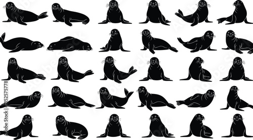 Seal silhouettes, marine animals, ocean wildlife, playful poses, aquatic mammals, whiskers, flippers, swimming seals, resting seals, nature illustration, coastal ecosystem