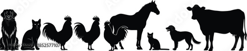 Set of domestic and farm animal silhouettes including dogs, cats, roosters, horses, and cow, isolated on white background for veterinary design.