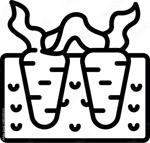 Carrots growing in vegetable garden patch icon representing agriculture and healthy food