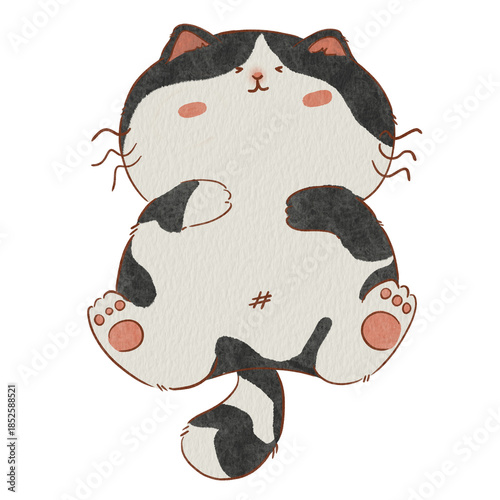 Cat 02
