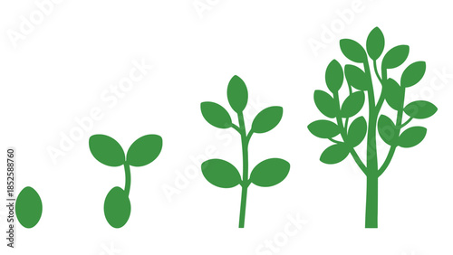 Stages of plant growth from seed to mature tree, symbolizing development and life.