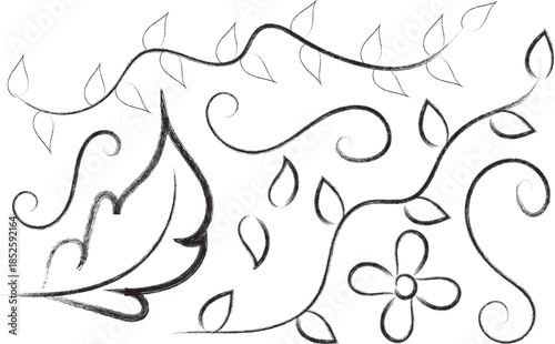 Hand drawn floral vine doodle ornament line art